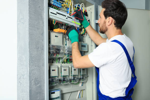 Best Electric Panel Repair  in Sandy Oaks, TX