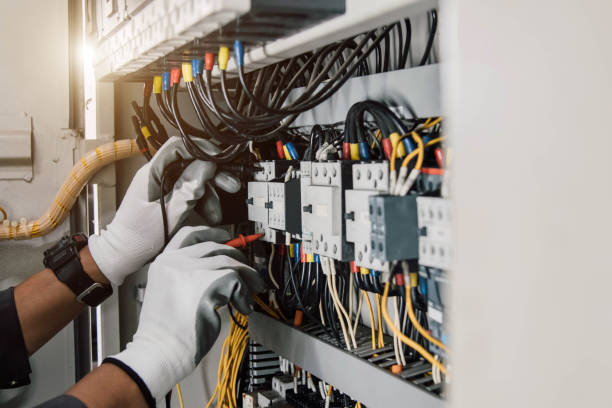 Best Electric Panel Repair  in Sandy Oaks, TX